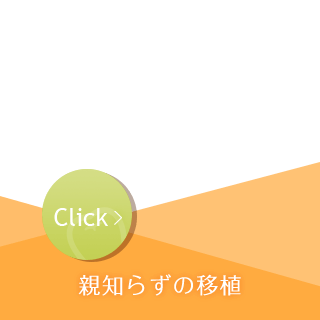 親知らずの移植