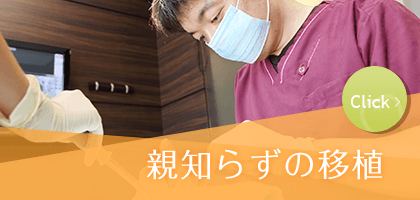 親知らずの移植